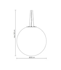 Extra Large - Additional Image