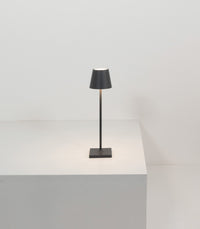 Poldina Micro Table Lamp