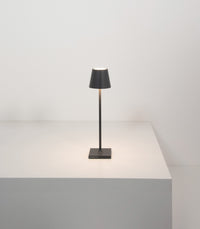 Poldina Micro Table Lamp