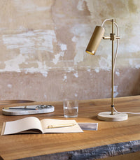 Spot Desk Table Lamp