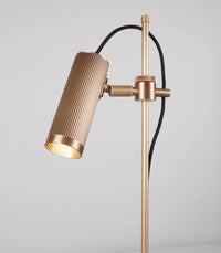 Spot Desk Table Lamp