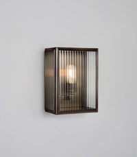 Birch Wall Light