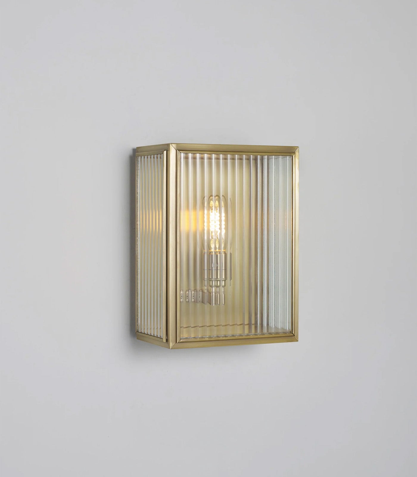 Birch Wall Light