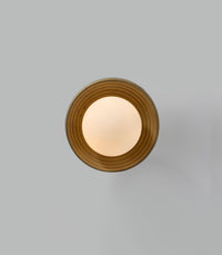 Eos Wall/Ceiling Light