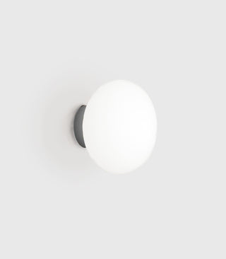 Maga Wall/Ceiling Light