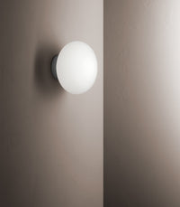 Maga Wall/Ceiling Light