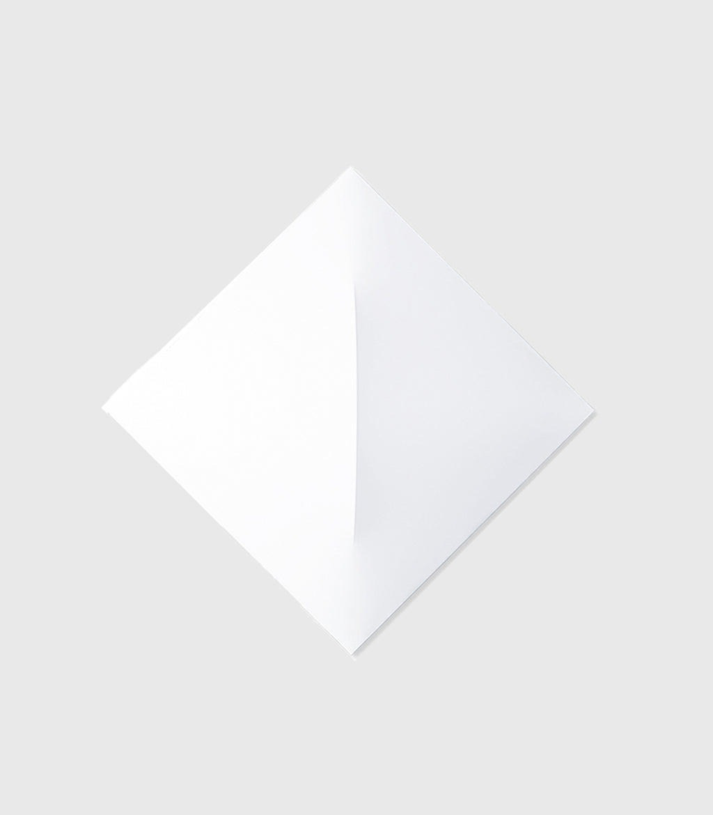 Saori Wall/Ceiling Light