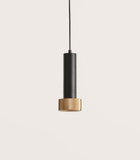 Focus Pendant Light