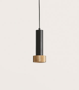 Focus Pendant Light