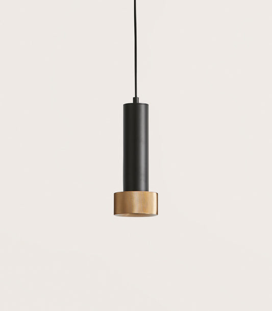 Focus Pendant Light
