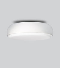 Over Me Ceiling Light