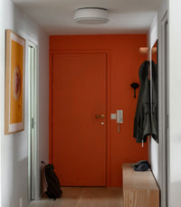 Over Me Ceiling Light