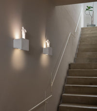 Umarell Wall Light