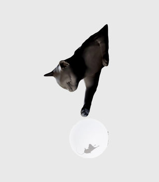 Maoo Wall Light