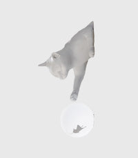 Maoo Wall Light