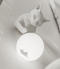 Maoo Wall Light