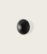 Mini Ross Wall Light
