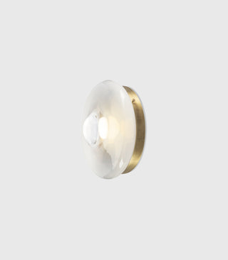 Orbital Wall/Ceiling Light