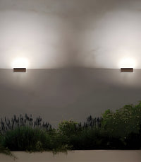 Zena Wall Light